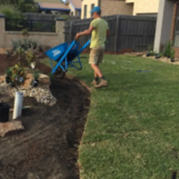 Lawns, Instant & Artificial project images