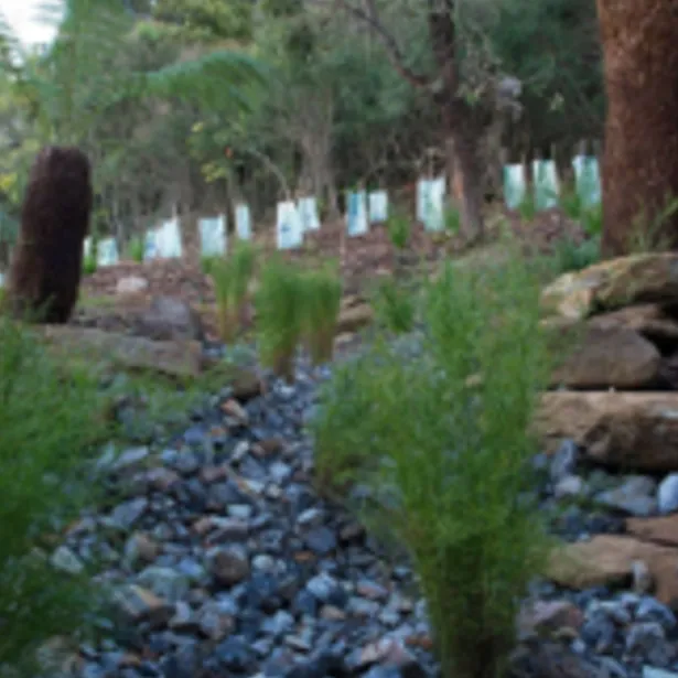 Landscape Constructions & Design project images