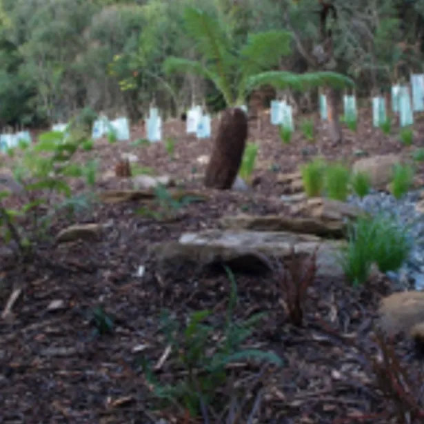 Landscape Constructions & Design project images