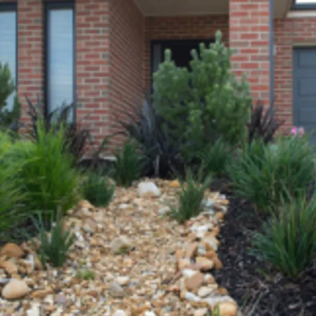 Landscape Constructions & Design project images