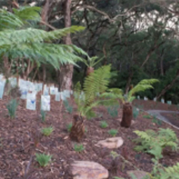 Landscape Constructions & Design project images